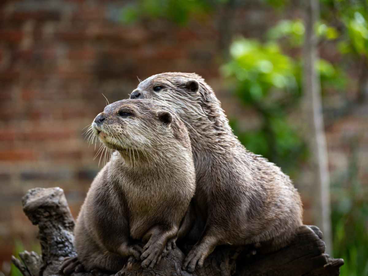 “Well, we wouldn’t recommend&nbsp;that”: